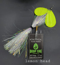 Load image into Gallery viewer, Non-Typical 8/9 Mag