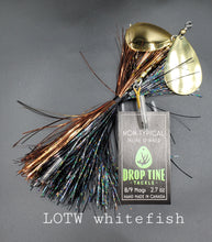 Load image into Gallery viewer, Non-Typical 8/9 Mag