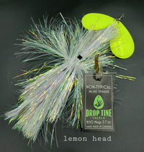 Load image into Gallery viewer, Non-Typical 9/10 Mag