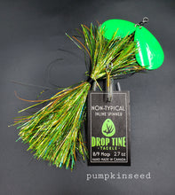 Load image into Gallery viewer, Non-Typical 8/9 Mag